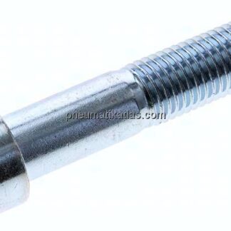 Zylinderschraube DIN 912, M 20x100, Stahl verzinkt 8.8