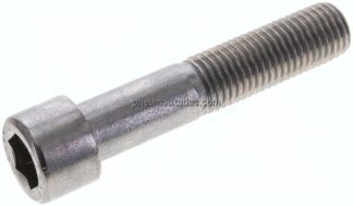 Zylinderschraube DIN 912, M 20x100, Edelstahl A2