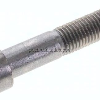 Zylinderschraube DIN 912, M 20x100, Edelstahl A2