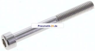 Zylinderschraube DIN 912, M 6x55, Edelstahl A2