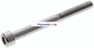 Zylinderschraube DIN 912, M 6x60, Edelstahl A2
