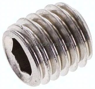 Gewindestift DIN 913 / ISO 4026, M 10x10, Edelstahl A2