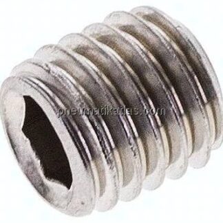 Gewindestift DIN 913 / ISO 4026, M 10x10, Edelstahl A2