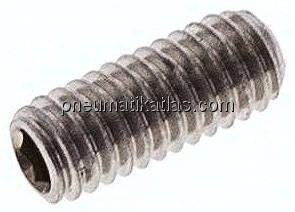 Gewindestift DIN 913 / ISO 4026, M 4x10, Edelstahl A2