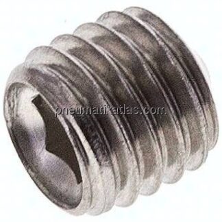 Gewindestift DIN 914 / ISO 4027, M 10x10, Edelstahl A2
