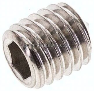 Gewindestift DIN 914 / ISO 4027, M 10x12, Edelstahl A2