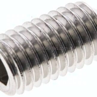 Gewindestift DIN 914 / ISO 4027, M 10x20, Edelstahl A2