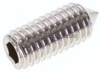 Gewindestift DIN 914 / ISO 4027, M 5x12, Edelstahl A2