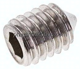 Gewindestift DIN 914 / ISO 4027, M 6x8, Edelstahl A2