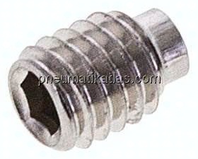 Gewindestift DIN 915 / ISO 4028, M 6x8, Edelstahl A2