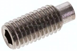 Gewindestift DIN 915 / ISO 4028, M 8x20, Edelstahl A2
