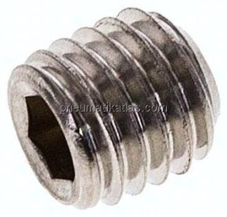 Gewindestift DIN 916 / ISO 4029, M 10x10, Edelstahl A2