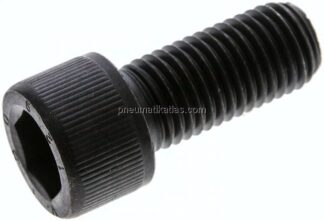 Zylinderschraube DIN 912, M 20x45, Stahl 12.9 blank (schwarz)