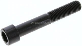 Zylinderschraube DIN 912, M 16x100, Stahl 12.9 blank (schwarz)