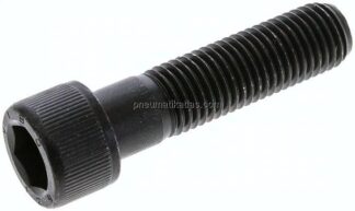 Zylinderschraube DIN 912, M 20x80, Stahl 12.9 blank (schwarz)