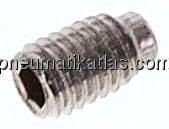 Gewindestift DIN 915 / ISO 4028, M 3x5, Edelstahl A2