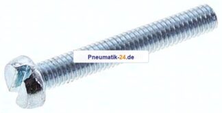 Zylinderschraube DIN 84, M 3x20, Stahl verzinkt 4.8