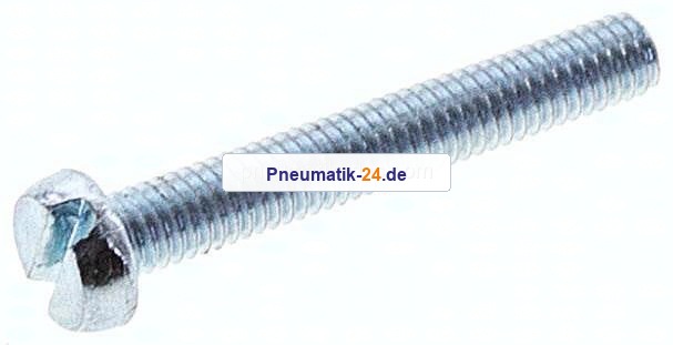 Zylinderschraube DIN 84, M 3x20, Stahl verzinkt 4.8