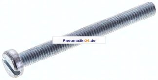 Zylinderschraube DIN 84, M 3x30, Stahl verzinkt 4.8
