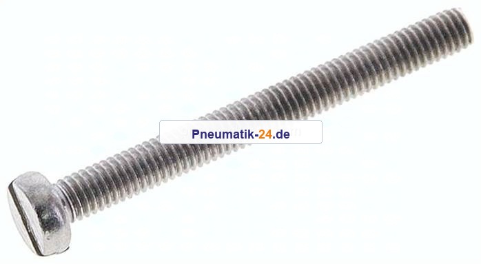 Zylinderschraube DIN 84, M 3x30, Edelstahl A2