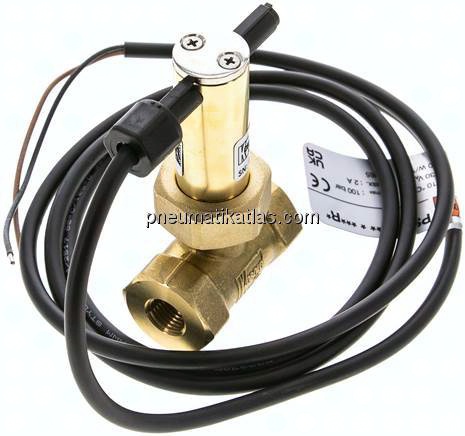 Prallscheiben-Durchflusswächter G 1/4", Messing