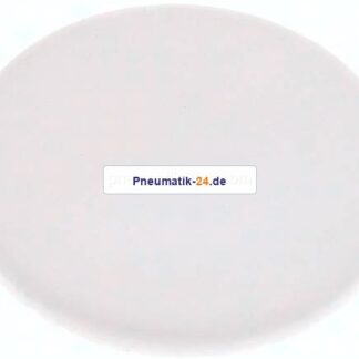 Dichtscheibe für Blindmutter DN 10, PTFE (weiß)
