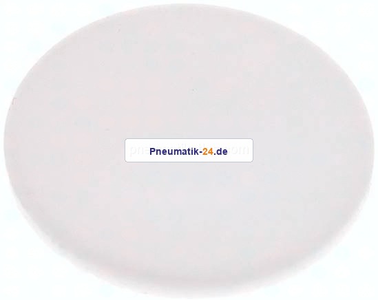 Dichtscheibe für Blindmutter DN 10, PTFE (weiß)
