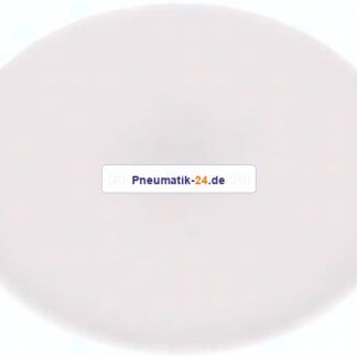 Dichtscheibe für Blindmutter DN 15, PTFE (weiß)