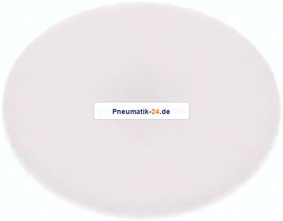 Dichtscheibe für Blindmutter DN 15, PTFE (weiß)