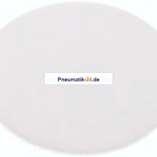 Dichtscheibe für Blindmutter DN 20, PTFE (weiß)