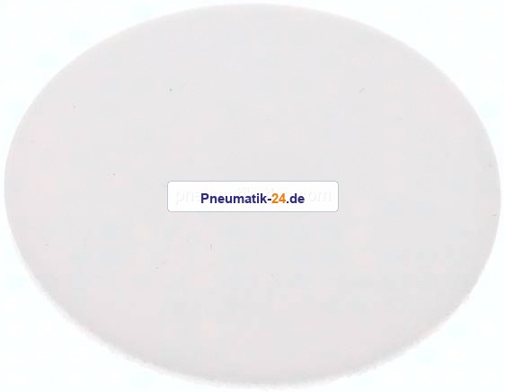 Dichtscheibe für Blindmutter DN 20, PTFE (weiß)