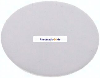 Dichtscheibe für Blindmutter DN 25, PTFE (weiß)