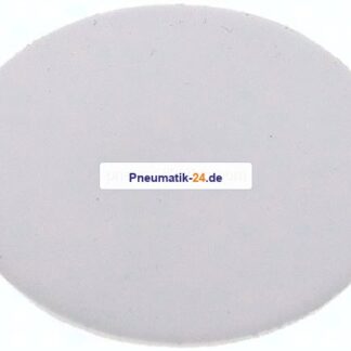 Dichtscheibe für Blindmutter DN 25, PTFE (weiß)