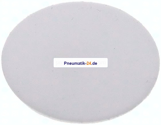 Dichtscheibe für Blindmutter DN 25, PTFE (weiß)