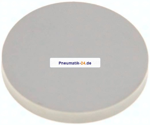 Dichtscheibe für Blindmutter DN 10, EPDM (weiß)