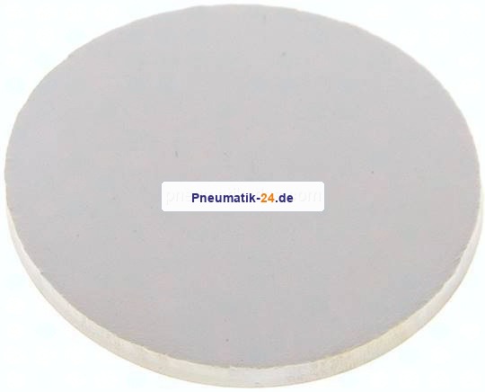 Dichtscheibe für Blindmutter DN 20, EPDM (weiß)