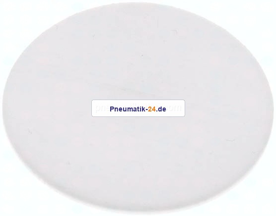 Dichtscheibe für Blindmutter DN 32, PTFE (weiß)