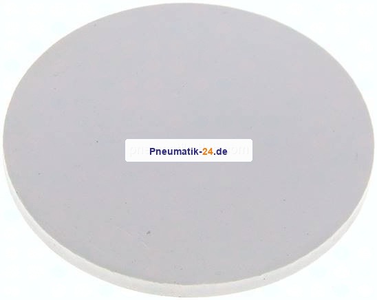 Dichtscheibe für Blindmutter DN 25, EPDM (weiß)