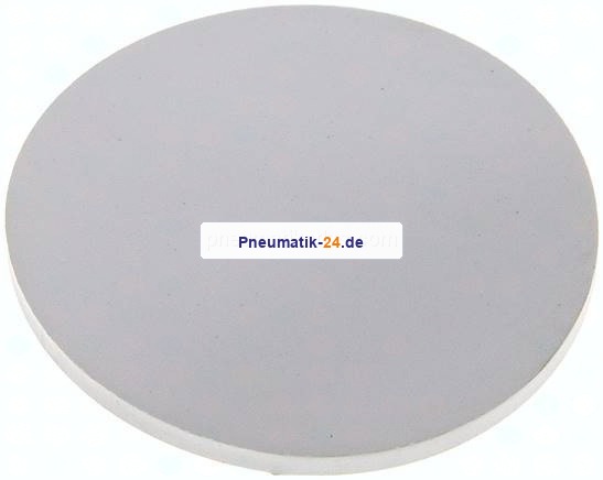 Dichtscheibe für Blindmutter DN 32, EPDM (weiß)