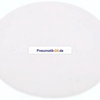 Dichtscheibe für Blindmutter DN 40, PTFE (weiß)