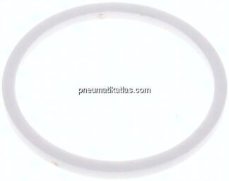 Guillemin Dichtung, PTFE, 3" (Dichtfläche 101 mm)