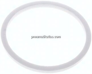 Guillemin Dichtung, PTFE, 4" (Dichtfläche 121 mm)