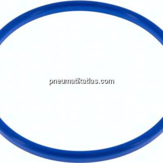 Dichtung (Milchgewinde) DN 125, NBR (blau), 130x142x7mm