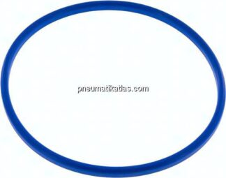 Dichtung (Milchgewinde) DN 150, NBR (blau), 155x167x7mm