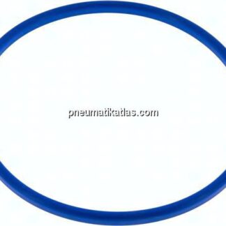Dichtung (Milchgewinde) DN 150, NBR (blau), 155x167x7mm