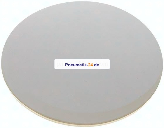 Dichtscheibe für Blindmutter DN 125, NBR (weiß)
