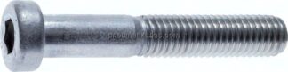 Zylinderschraube DIN 6912, M 10x50, Stahl verzinkt 8.8