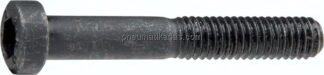 Zylinderschraube DIN 6912, M 4x10, Stahl blank (schwarz) 8.8