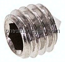 Gewindestift DIN 914 / ISO 4027, M 6x6, Edelstahl A2