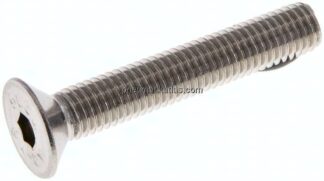 Senkschraube ISO10642(DIN7991), M 10x60, Edelstahl A2